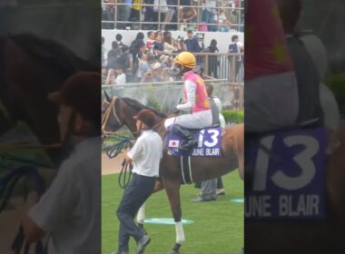 【G1スプリンターズS2025パドック現地映像】#スプリンターズステークス #三浦皇成 #ウインカーネリアン #g1 #初制覇#パドック#競馬#競馬予想#競馬場 #現地映像#武豊#ルメール#モレイラ