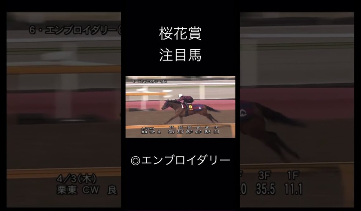 競馬　桜花賞注目馬　エンブロイダリー　　　　　　　　　　　　　　　　#競馬 #jra #桜花賞 #エンブロイダリー #注目馬