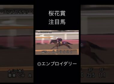 競馬　桜花賞注目馬　エンブロイダリー　　　　　　　　　　　　　　　　#競馬 #jra #桜花賞 #エンブロイダリー #注目馬