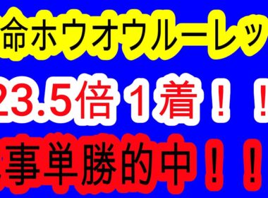 【競馬予想】シリウスS2025　本命ホウオウレールット１着！！　期待値はMAX！　前走で超絶不利のあったあの馬が巻き返します！！