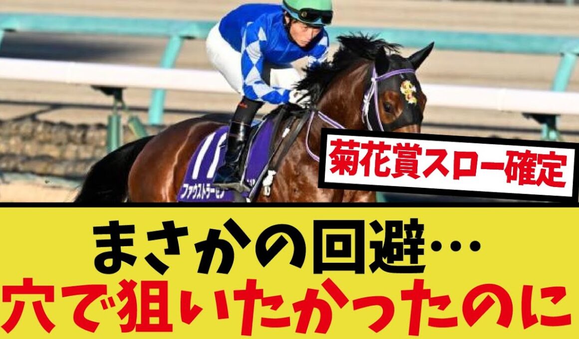 ｢ファウストラーゼン菊花賞見送り｣に対するみんなの反応集
