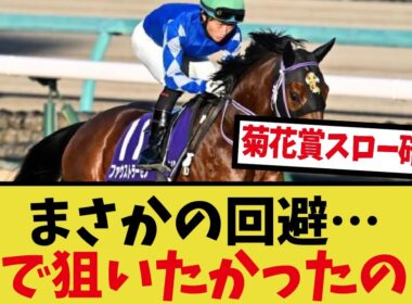 ｢ファウストラーゼン菊花賞見送り｣に対するみんなの反応集