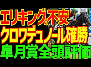 【皐月賞】エリキング、ファウストラーゼン、ニシノエージェントは絶対に来ない！？絶対に1着はクロワデュノール！ただしヒモ荒れはする！皐月賞とダービーの関係…2025年皐月賞全頭評価動画【競馬ゆっくり】