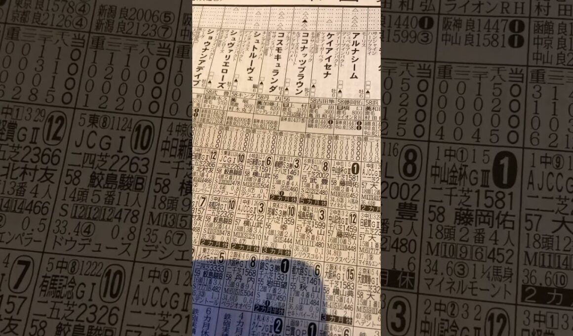 札幌記念　◎ステレン桜花賞馬🐴