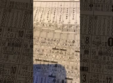 札幌記念　◎ステレン桜花賞馬🐴