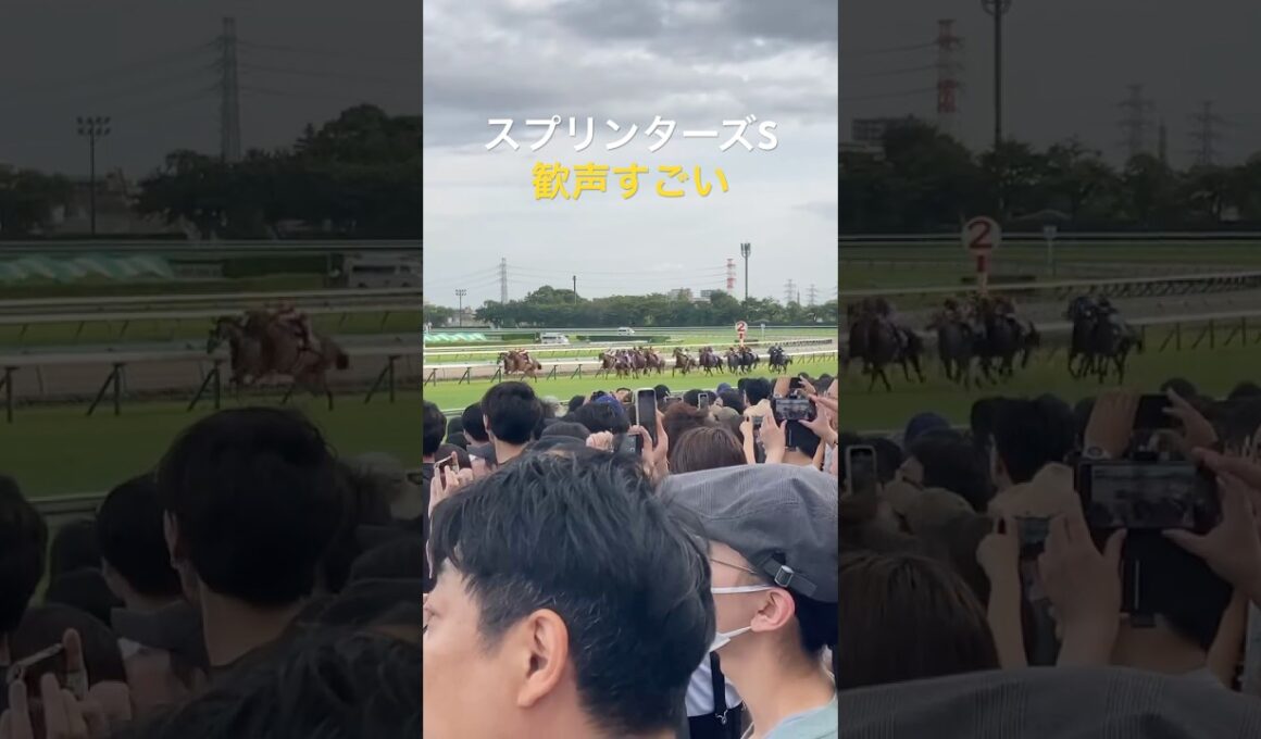 【2025年スプリンターズS】現場のリアル　#競馬#中山競馬場 #スプリンターズs