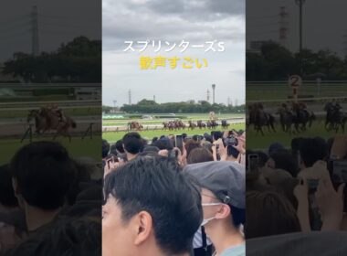 【2025年スプリンターズS】現場のリアル　#競馬#中山競馬場 #スプリンターズs