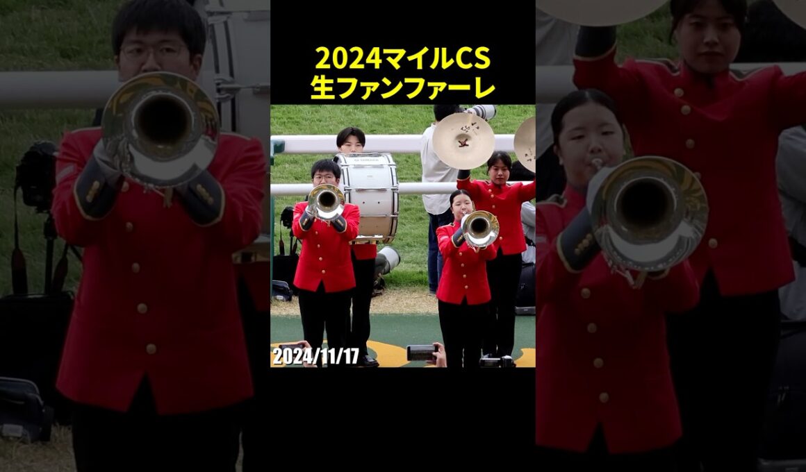 2024年マイルチャンピオンシップのG1生ファンファーレ演奏 #マイルCS #生ファンファーレ #龍谷大学吹奏楽部 #競馬 #現地映像 #shorts