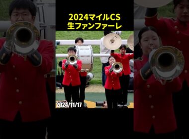 2024年マイルチャンピオンシップのG1生ファンファーレ演奏 #マイルCS #生ファンファーレ #龍谷大学吹奏楽部 #競馬 #現地映像 #shorts