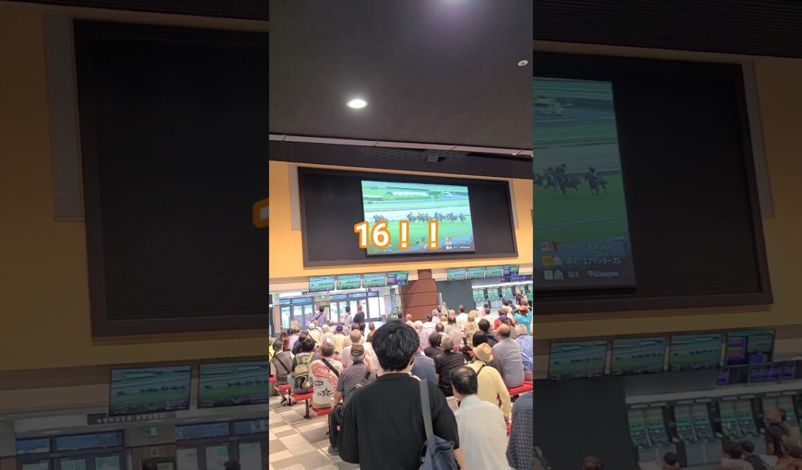 スプリンターズS2025直線の攻防！三浦皇成！G1優勝おめでとう！！