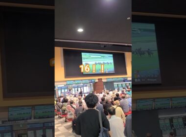 スプリンターズS2025直線の攻防！三浦皇成！G1優勝おめでとう！！