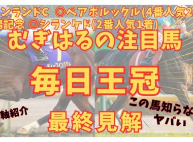 【毎日王冠2025】前走は評価できる、この馬しかいない‼️●●が巻き返し‼️🏇