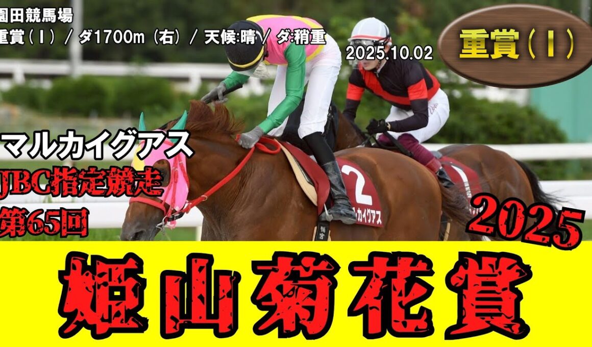【競馬】 姫山菊花賞 （園田） 2025 / マルカイグアス