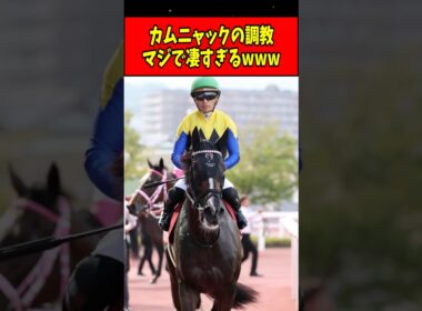 【朗報】カムニャック、秋華賞2週前の追い切りがヤバすぎるwww#shorts