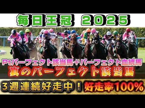 【毎日王冠2025】先週スプリンターズS真のパーフェクト該当馬7番人気２着ジューンブレア好走‼️4週連続好走なるか⁉️