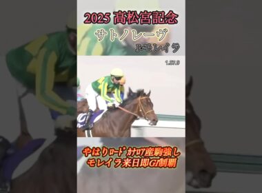 【高松宮記念】サトノレーヴ＆モレイラ　#競馬  #高松宮記念  #サトノレーヴ  #shorts