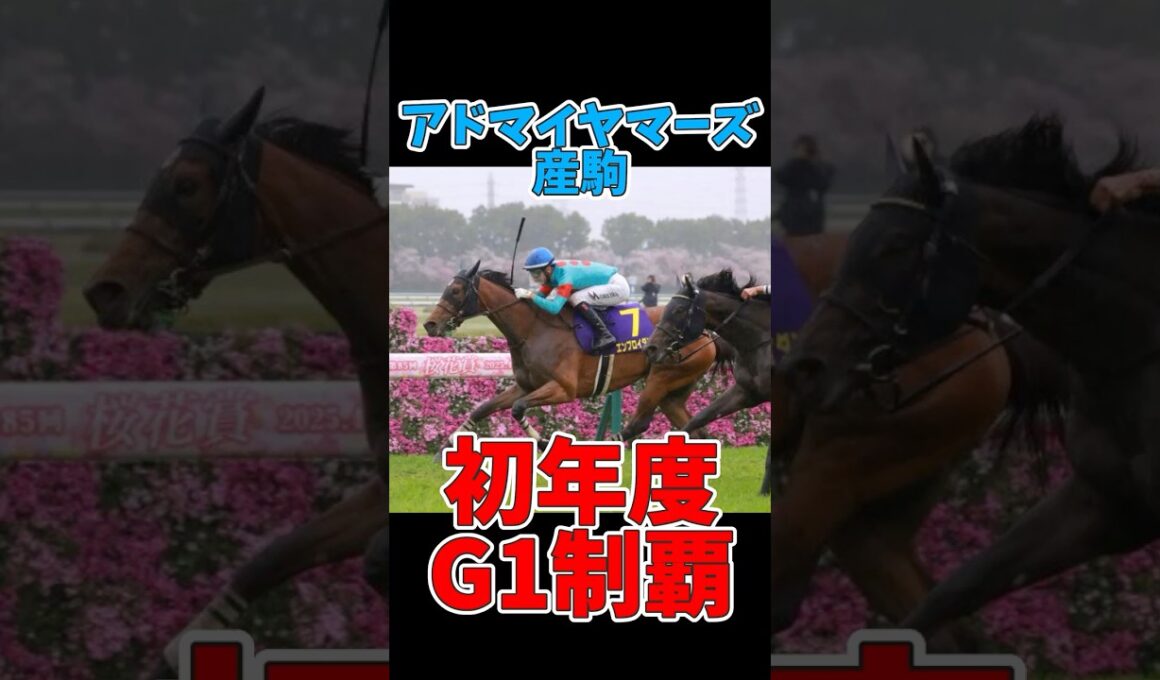 【競馬】アドマイヤマーズ産駒 初年度でG1制覇 #桜花賞 #エンブロイダリー #アドマイヤマーズ #G1制覇 #競馬 #クラシック戦線