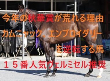今年の秋華賞が荒れる理由 カムニャック エンブロイダリーを逆転する馬 推奨穴馬１５番人気ヴェルミセル激走