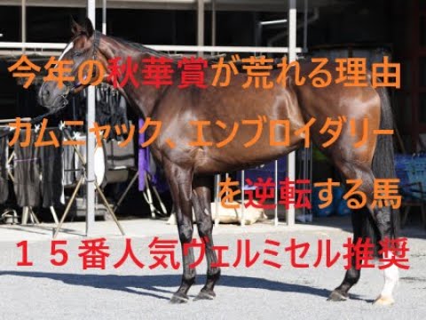 今年の秋華賞が荒れる理由 カムニャック エンブロイダリーを逆転する馬 推奨穴馬１５番人気ヴェルミセル激走