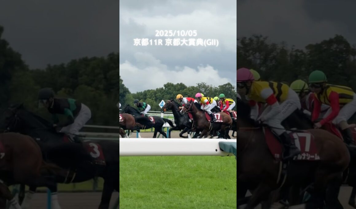 【競馬】天皇賞・秋トライアルレース 「京都大賞典」 #shorts #競馬 #horse #京都大賞典