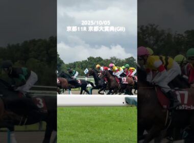 【競馬】天皇賞・秋トライアルレース 「京都大賞典」 #shorts #競馬 #horse #京都大賞典