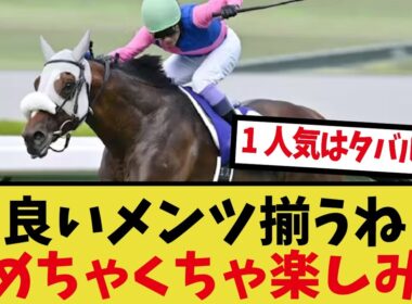 ｢天皇賞秋が楽しみすぎる｣に対するみんなの反応集