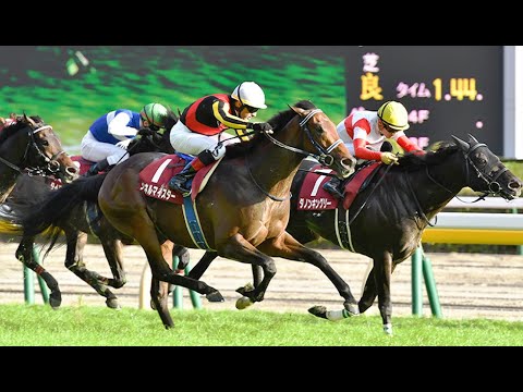 【競馬】GII毎日王冠・京都大賞典やります