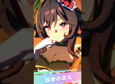 チャンピオンズミーティング classic 秋華賞(G1)のラストスパート 甲賀忍法帖ver. #ウマ娘プリティーダービー #ジェンティルドンナ