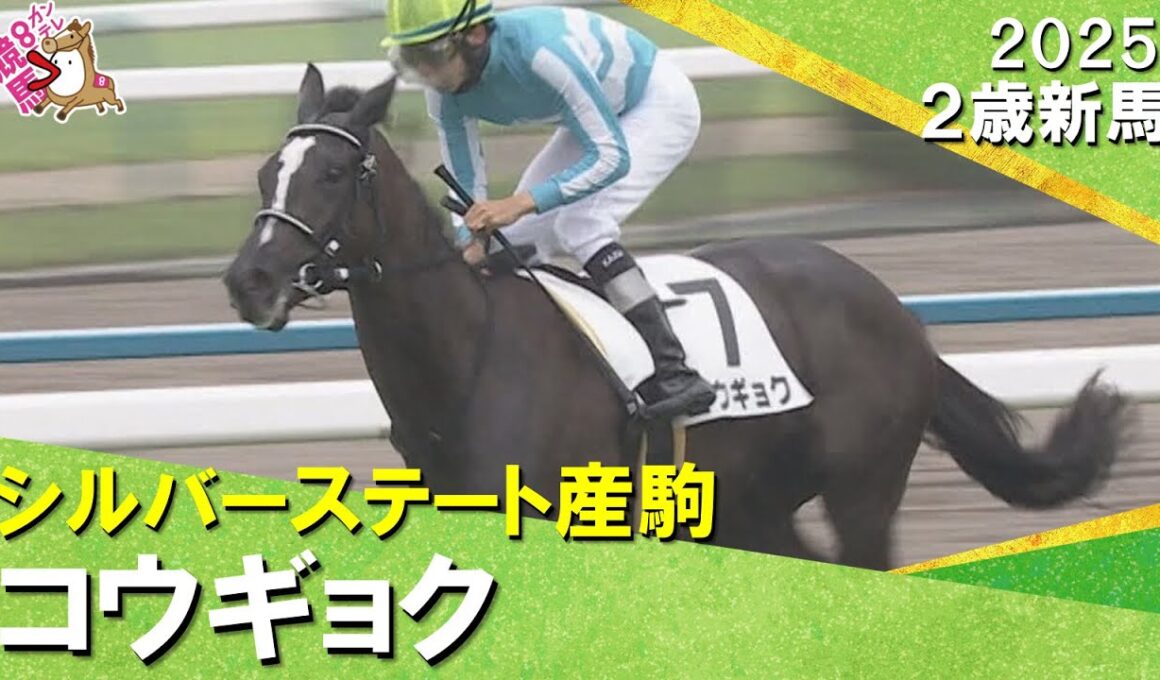 シルバーステート産駒コウギョクが逃げ切り勝ち！昆調教師「オークス、秋華賞のどちらかで」2025年10月5日(日)２歳新馬　京都芝1800m　実況：川島壮雄【カンテレ公式】