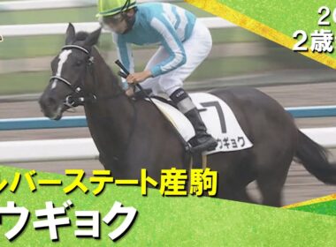 シルバーステート産駒コウギョクが逃げ切り勝ち！昆調教師「オークス、秋華賞のどちらかで」2025年10月5日(日)２歳新馬　京都芝1800m　実況：川島壮雄【カンテレ公式】