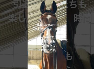 (サチモニュース)そふと競馬出走決定！#そふと菊花賞 #10月26日 #サチモ #引退馬支援企画