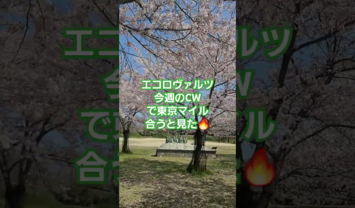 安田記念注目馬🔥