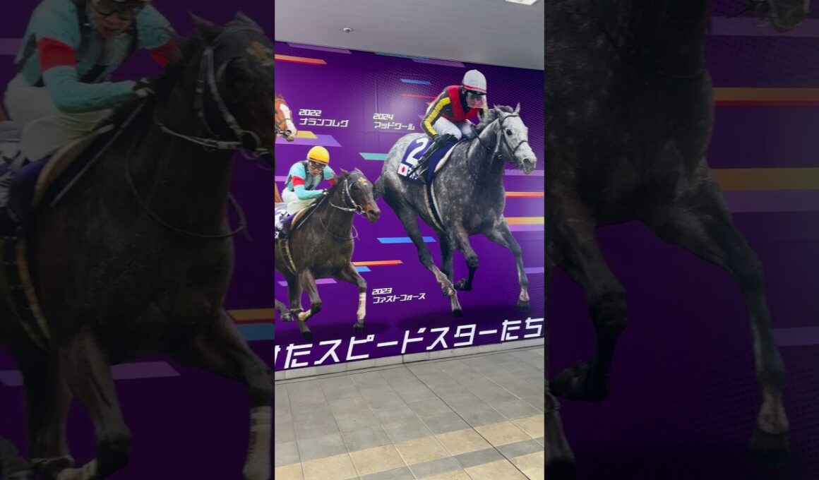 #中京競馬場　3/30日　週末は　#高松宮記念　G I #ウマジョ日記