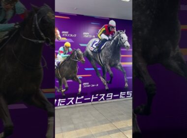 #中京競馬場　3/30日　週末は　#高松宮記念　G I #ウマジョ日記