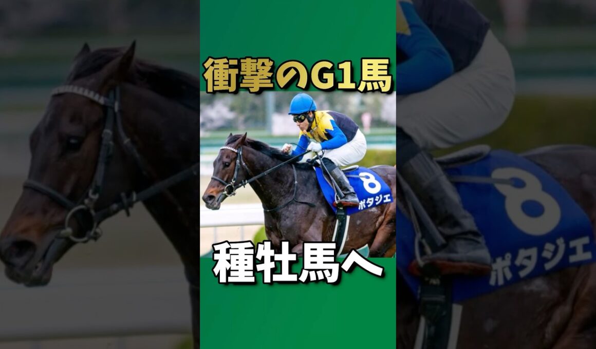 【競馬】衝撃のG1馬　種牡馬へ　#ポタジェ #大阪杯 #競馬引退 #種牡馬入り #ディープインパクト産駒 #G1馬 #競馬ドラマ #かしわ記念 #友道調教師　#競馬ニュース　#芝ダート兼用 #競馬感動