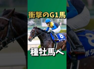 【競馬】衝撃のG1馬　種牡馬へ　#ポタジェ #大阪杯 #競馬引退 #種牡馬入り #ディープインパクト産駒 #G1馬 #競馬ドラマ #かしわ記念 #友道調教師　#競馬ニュース　#芝ダート兼用 #競馬感動