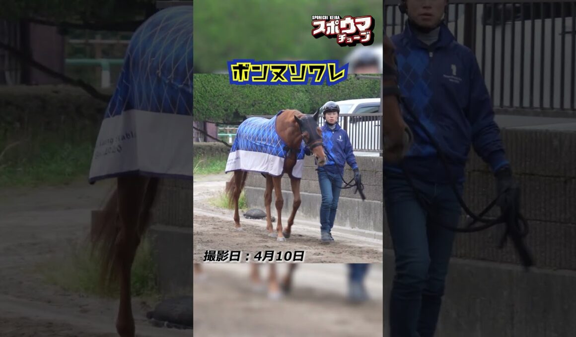 【桜花賞・出走予定】ボンヌソワレ 美浦での様子 #shorts