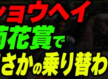 ショウヘイが菊花賞でまさかの乗り替わり