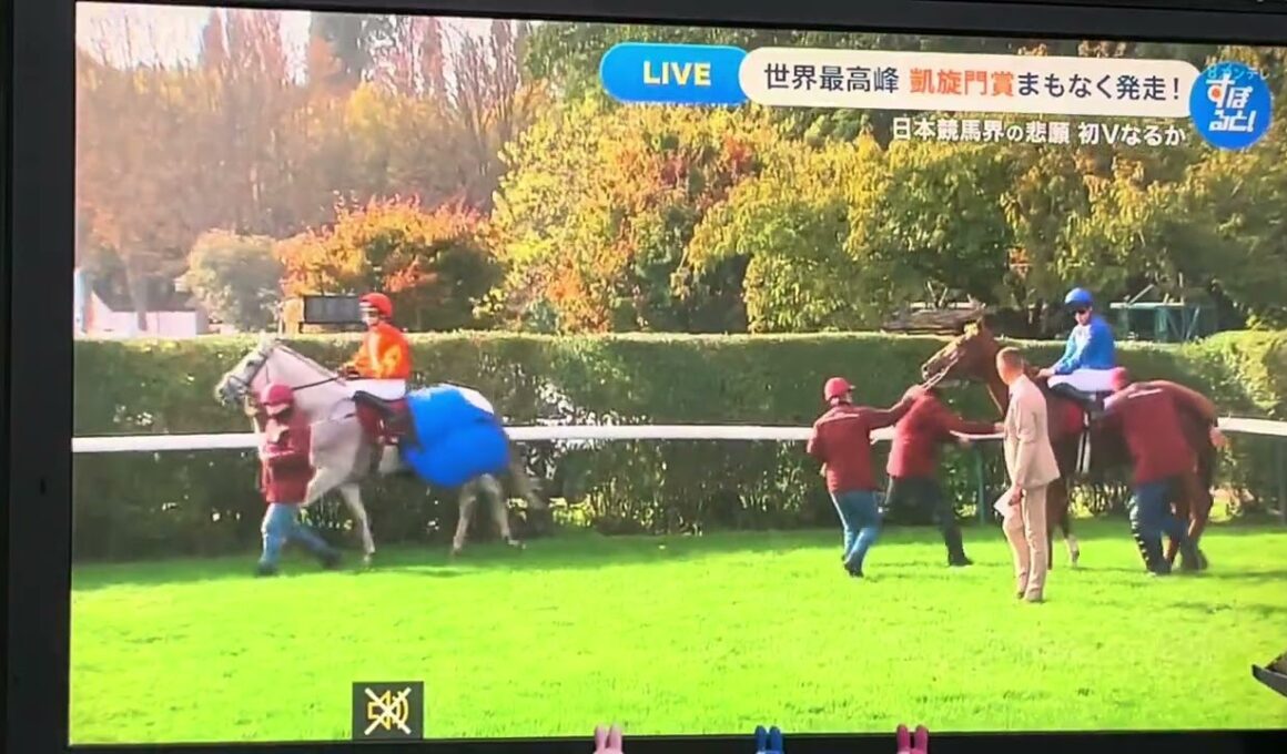 【競馬実況動画2025】 第104回凱旋門賞 ダリズ(ミカエル・バルザローナ)