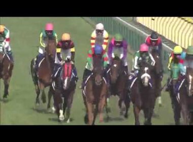 2013年 NHKマイルカップ（GⅠ）  マイネルホウオウ