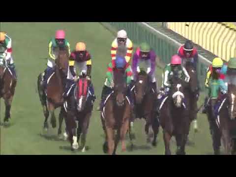 2013年 NHKマイルカップ（GⅠ）  マイネルホウオウ