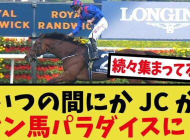 「ドバイオナー　ジャパンカップ参戦へ」に対するみんなの反応集