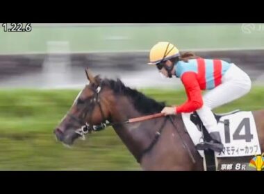 永島まなみ昇級戦を6番人気で快勝 通算127勝目 タマモティーカップ
