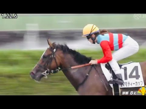 永島まなみ昇級戦を6番人気で快勝 通算127勝目 タマモティーカップ