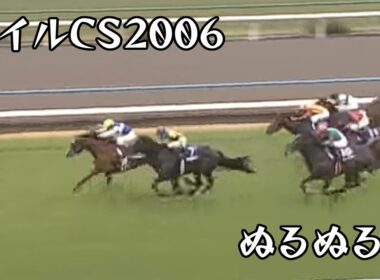 ダイワメジャー　マイルチャンピオンシップ 2006 ぬるぬる化で見よう conv to 60fps