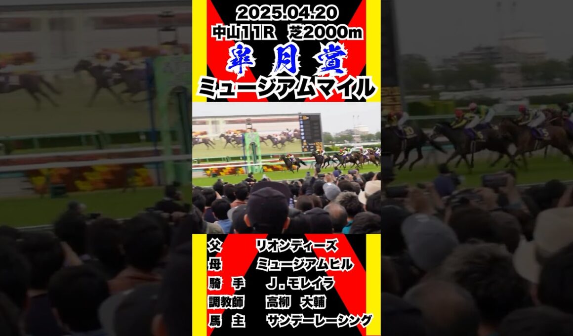 ミュージアムマイル【皐月賞2025】現地撮影