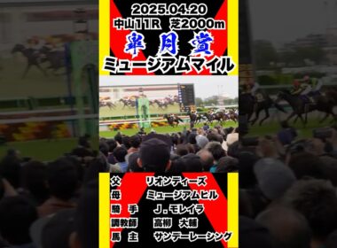 ミュージアムマイル【皐月賞2025】現地撮影