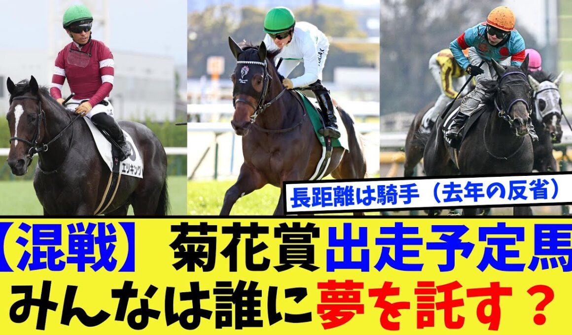【競馬】菊花賞の現時点での出走予定馬、みんなは誰に賭ける？に対する反応集【競馬の反応集】