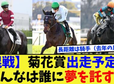 【競馬】菊花賞の現時点での出走予定馬、みんなは誰に賭ける？に対する反応集【競馬の反応集】