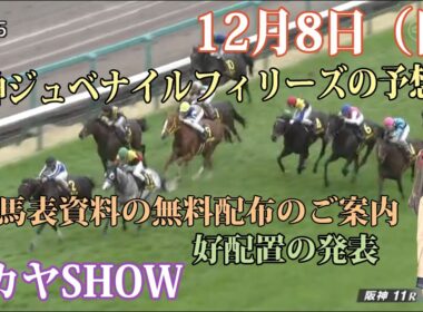 【競馬】阪神ジュベナイルフィリーズ　無料・無償の推奨穴馬予想 　出馬表チェック資料無料配布のご案内